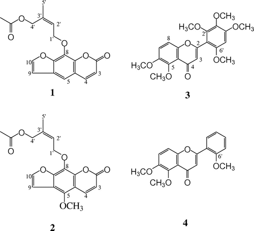 Fig. 1. Structures of compounds isolated from leaves of C. edulis. Furocoumarins (compounds 1 and 2), polymethoxyflavones (compounds 3 and 4).