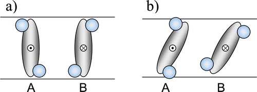 Figure 3. (a) In the SmA phase the molecular orientations A and B, which correspond to the opposite directions of the molecular transverse dipole, are equivalent and there is no macroscopic polarisation. (b) In the SmC* phase, molecular orientation A, say, is more energetically favourable than the orientation B, and there is a non-zero average dipole in the direction normal to the tilt plane.