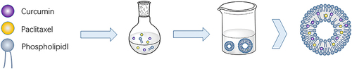 Figure 1 Assembly diagram of CU-PTX-LNP.