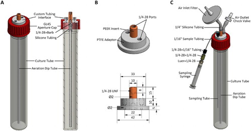 Figure 1. Small volume culture vessels. A, Basic overview of the system without additional fittings, including a cross section view showing the aeration dip tube attachment; B, upper: the custom designed adaptor consisting of an insert press-fit into a base; lower: side view of the adaptor with dimensions annotated; C, a singular small volume growth vessel complete with fittings, including the sample withdrawal assembly and syringe. All dimensions given are in mm unless otherwise noted. The 1/4–28 specified refers to UNF thread type. The 1/16″ (OD) tubing is made of fluorinated ethylene propylene (FEP) with an ID of 1/32″. The 1/4″ (OD) silicone tubing (96400–25) was obtained from Cole-Parmer.