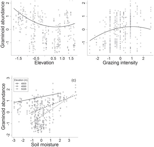 FIGURE 2. Graphs illustrating significant quadratic and interaction terms involved in best subset linear mixed effect model (LME) for graminoid abundances at Nam Tso, Tibet Autonomous Region of China, in 2009. Regression lines were based on estimates of parameters in each LME model. The explanatory variables used in the full model to derive the best subset models include first and second order terms for elevation, soil moisture, grazing intensity, pika burrow, solar radiation index, and surface roughness, and interaction terms between grazing intensity, elevation, and soil moisture.