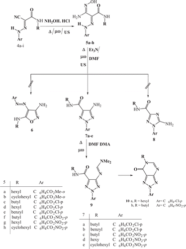 Scheme 3.  Synthesis of 5-amino-1,2,3-triazole and 1,2,3-triazolo[4,5-d]pyrimidin-7-one derivatives