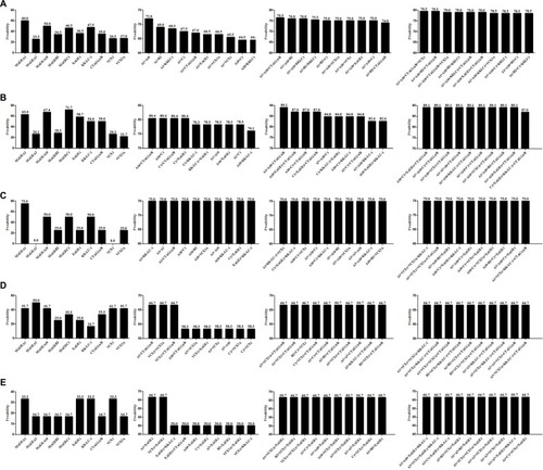 Figure 4 CTA profiling data based on any 2–4 CTA combination in total cases and precision CTA profiling data based on variable clinicopathological features.Notes: (A) Single CTA expression and the best 2, 3, and 4 CTA combination covering the widest range of total 200 NSCLC cases. (B) CTA expression results for patients with the characteristics of female sex, no smoking history, and ADC. (C) CTA expression results for patients with the characteristics of female sex, no smoking history, and SCC. (D) CTA expression results for patients with the characteristics of female sex, positive smoking history, and ADC. (E) CTA expression results for patients with the characteristics of female sex, positive smoking history, and SCC.Abbreviations: CTA, cancer/testis antigen; NSCLC, non-small cell lung cancer; ADC, adenocarcinoma; SCC, squamous cell carcinoma.