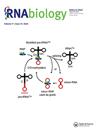 Cover image for RNA Biology, Volume 17, Issue 12, 2020