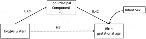 Figure 9. Structural Equation Model (SEM) conceptualized for the mediated association of the main principal component (PC1) that explained 80% of the variance for the top-10 CpG loci and birth gestational age in the discovery phase.NS=non-significant