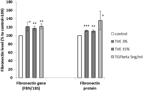 Figure 2 Effect of TVE on fibronectin gene and protein synthesis. HDF were treated with TVE at the indicated concentrations and then gene expression and protein synthesis were analysed after 6 h and 72 h, respectively. The results are the averages of three independent experiments, expressed as percentages respect to the untreated control, arbitrarily set as 100%. The error bars represent standard deviations, and the asterisks indicate statistically significant values (*** p value is between 0.0001 to 0.001; **0.001 to 0.01; *0.01 to 0.05).