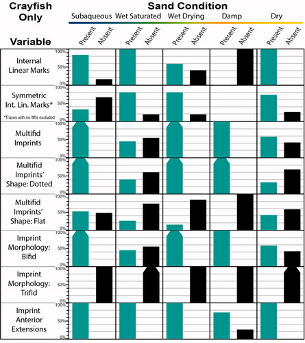 Figure 16. Binary variable trends for crayfish trackways split by five sand conditions (all slopes included in each of the five conditions, so variability due to slope is accounted for). Shown are the percentages of analyzed trackway segments (ATS) in a condition that are present and absent. Note, for “Symmetric Int. Lin. Marks” (= LM Asym), ATS without internal marks were not included in calculations of percent values. Tapering added to bars near 100% for visual clarity.