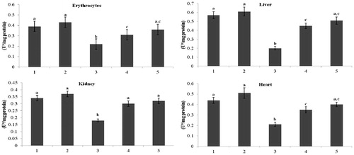 Figure 5. Effect of kaempferol on Mg2+-ATPase in the erythrocytes and tissues of normal and STZ-induced diabetic rats. Values are given as means ± SD from six rats in each group. Values not sharing a common superscript vertically differ significantly at p < 0.05 (DMRT). a-μmol of Pi liberated per hour. Group 1: normal control; Group 2: normal + kaempferol (100 mg/kg/d); Group 3: diabetic control; Group 4: diabetic + kaempferol (100 mg/kg/d); Group 5: diabetic + glibenclamide (600 µg/kg/d).