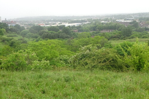 Figure 2. View from the top of the hill captured by one of the pupils involved in the intervention.