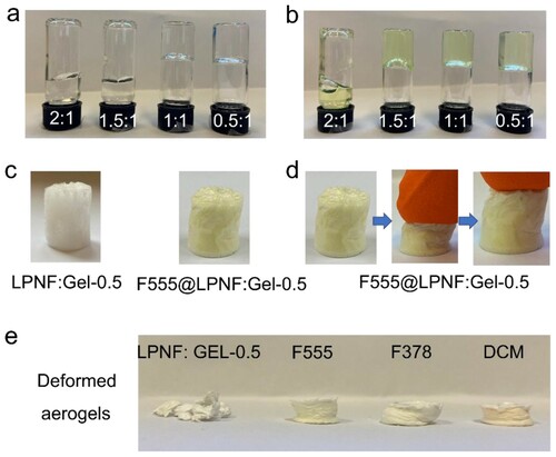 Figure 3. (a–b) Photographs of samples of LPNF (or F555@LPNF) and gelatin mixed in different ratios. (c) Photographs of aerogels formed from LPNF:GEL-0.5 and F555@LPNF:GEL-0.5. (d) Compression behavior of the F555@LPNF:GEL-0.5 aerogel. (e) Deformation behavior of LPNF:GEL-0.5 and dyes@LPNF:GEL-0.5 aerogels.