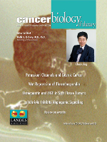 Cover image for Cancer Biology & Therapy, Volume 4, Issue 12, 2005