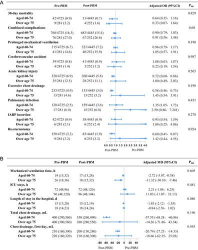 Figure 3 Effect of PBM on clinical outcomes stratified by the age. (A) Categorical dependent variables, (B) continuous dependent variables. For all categorical dependent variables and all continuous dependent variables, independent variables involved in these multivariable models were the same, incorporated age (aged 60–74/over age 75), PBM (pre-PBM/post-PBM), age-by-PBM interaction term, sex, EuroSCORE, EF, previous myocardial infarction, hyperlipidemia, chronic lung disease, renal dysfunction, previous cardiac surgery, hematocrit, platelets, creatinine, surgery type, CPB time. Continuous dependent variables are reported as medians (25th percentile, 75th percentile), categorical dependent variables reported as number (%).