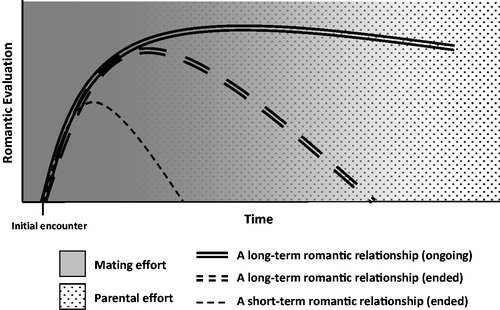 Figure 8. The relationship coordination and strategic timing (ReCAST) model. Note. Theoretically derived trajectories are depicted for normative long-term (double lines) and short-term (single line) relationships; long-term relationships are depicted separately by breakup status (current = solid line; ended = dashed line). Early on, relationship trajectories are characterized by more mating effort (solid gray background); later, relationships are characterized by more parental effort (dotted background).
