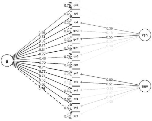 Figure 6. Bifactor model.