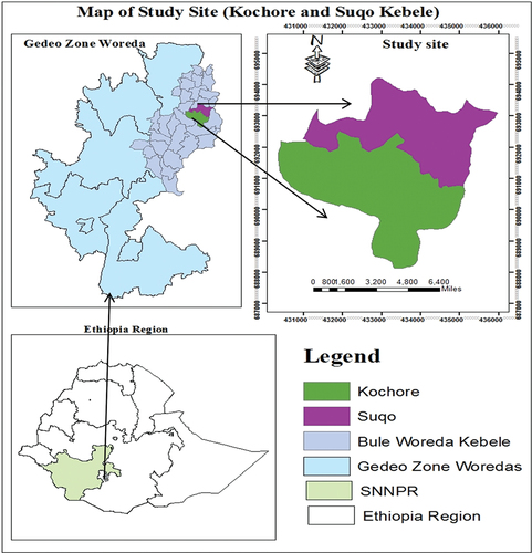 Figure 1. Location map of the study sites in the Barcha-Adado watershed, Bule Woreda, Gedeo Zone.