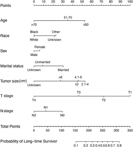 Figure 2 Nomogram to predict the probability of long-time survival. For example, there was a 73-year old (0 point), white (0 point), married (30 points) man (0 point) with gastric SRCC. The tumor was > 6 cm (approximately 30 points), T1 stage (100 points), and negative lymph node involvement (30 points). The total score was 190 points. For this specific patient, the probability of long-time survival was approximately 0.2.