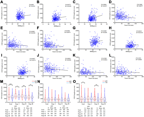 Figure 1 The effect of age on lymphocyte subsets. (A–C) The connection between CD4, CD8, CD19 lymphocyte counts, and BMI based on patients with ≤60. (D-F) The connection between CD4, CD8, CD19 lymphocyte counts, and tumor size based on patients with ≤60. (G–I) The connection between CD4, CD8, CD19 lymphocyte counts, and BMI based on patients with >60. (J–L) The connection between CD4, CD8, CD19 lymphocyte counts, and tumor size based on patients with >60. (M–O) The difference in CD4, CD8 and CD19 lymphocyte counts between ≤60 and >60 based on pTNM stage.