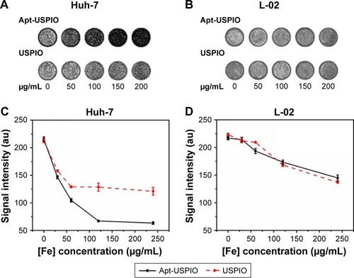 Figure 7 In vitro phantom MRI analysis. In vitro phantom T2-weighted images of Huh-7 cells (A) and L-02 cells (B) incubated with various concentrations of Apt-USPIO and USPIO (0, 50, 100, 150, and 200 µg/mL) for 3 h, and curves for the corresponding signal intensities of (C) Huh-7 and (D) L-02 cells show that the signal decline in the Huh-7 cells incubated with Apt-USPIO is much more pronounced than the other groups.Abbreviations: Apt-USPIO, aptamer-mediated USPIO; MRI, magnetic resonance imaging; USPIO, ultrasmall superparamagnetic iron oxide.