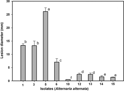 Fig. 6. Pathogenicity of Alternaria alternata isolates Alt1, Alt3, Alt5, Alt6, Alt10, Alt12, Alt13, Alt14 and Alt15 on wounded leaves of ‘Fortune’ mandarin. Vertical bars denote ± SE, when larger than symbols. Values not sharing a common superscript letter are significantly different (P < 0.05).