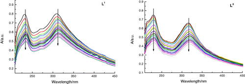 Figure 6. Absorption spectra of L1 and L3 (5 × 10−5 M) in the absence and presence of increasing amounts of DNA (5 × 10−5 M to 10−3 M) at room temperature in Tris-NaCl-HCl buffer (pH = 7.3). The arrow shows the absorbance change when increasing the DNA concentration.