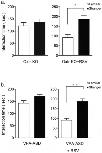 Figure 2. a. Social novelty preference in Oxtr-KO mice without (Oxtr-KO) and with RSV administration (Oxtr-KO+RSV) Values are provided as mean ± SEM (n = 10 per group). Values of P < 0.05 were considered statistically significant. b. Social novelty preference in VPA-ASD mice without (VPA-ASD) and with RSV administration (VPA-ASD+RSV) Values are provided as mean ± SEM (n = 10 per group). Values of P < 0.05 were considered statistically significant. (*P < 0.05, **P < 0.01).