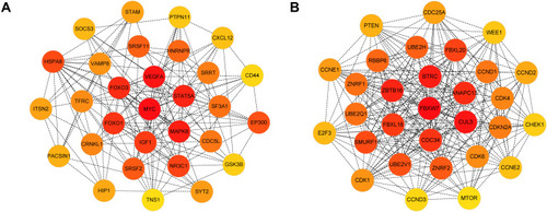 Figure 7 Identification of the hub genes for DEMs in the PPI network.