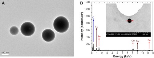 Figure 2 Advanced TEM characterization.Notes: (A) TEM image of Se nanoparticles synthesized by PLAL in DI water using a ultraviolet wavelength at λ=355 nm. (B) EDX line scan spectrum clearly showing the pure nature of the selenium nanoparticles produced. The carbon and copper signals come from the grid. Inset: SEM image of the selenium nanoparticle analyzed by EDX.Abbreviations: DI, deionized; DLS, dynamic light scattering; EDX, energy dispersive X-ray; PLAL, pulsed laser ablation in liquids; SEM, scanning electron microscope; TEM, transmission electronic microscope.