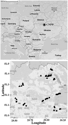 Figure 1. Map of trapping locations surrounding Chernobyl nuclear power plant (CNPP) located in northern Ukraine. Map on the right shows our trapping areas from all trappings. Radiation level in contaminated sites (triangles) varied between 1.46 and 98.74 µGy/h and in uncontaminated sites (dots) 0.01–0.53 µGy/h.