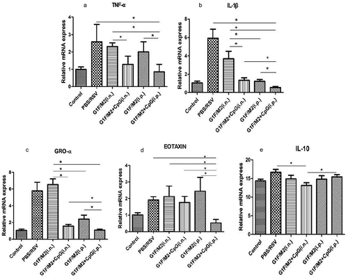 Figure 4. The inflammatory cytokines and chemokines in lungs of immunized mice after RSV challenge. Three weeks after the final immunization, mice were challenged i.n. with 105 TCID50/100 µl RSV-A. Five days after post-challenge, lungs were removed. The cytokines in lungs were measured by qRT-PCR or ELISA. Naïve mice neither immunized nor challenged were used as controls. The results are represented as the expression fold of each gene in experimental mice relative to control mice. The relative expression or concentration of (a) TNF-α, (b) IL-1β, (c) GRO-α, (d) EOTAXIN, and (e) IL-10. Results are means ± SD of five or six mice per group. *P < 0.05 represents significant difference.