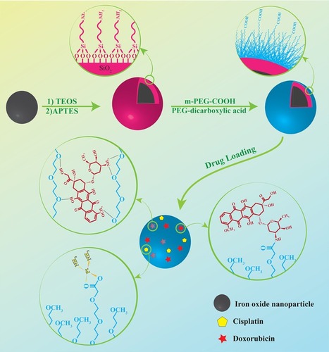 Scheme 1 Illustration of the synthesis procedure of PS-IONs and drug loading mechanism.