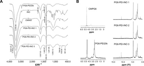 Figure 3 Characterization of the PG6-PEI-INO polymers.Notes: (A) FT-IR spectra of PG6-PEI-INO 1, PG6-PEI-INO 2, and PG6-PEI-INO 3. (B) 1H NMR spectra of the polymers. Deuterium oxide was used as the solvent.Abbreviations: CMINO, carboxymethyl inositol; CMPG6, carboxymethyl polyglycerol; FT-IR, Fourier transform infrared spectroscopy; INO, myo-inositol; NMR, nuclear magnetic resonance; PEI, polyethylenimine; PG6, polyglycerol.