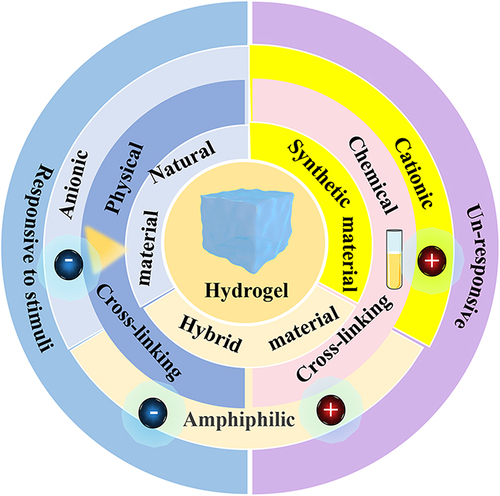 Figure 3 Classification of hydrogels based on different methods.