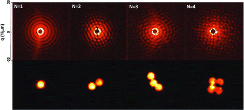 FIG. 3 FLASH diffraction patterns of single and aggregated 250 nm diameter spheres, where N equals the number of particles in the aggregate. The bottom row shows images of reconstructed electron density that were solved using ESPRESSO (arXiv:0809.2006v1).