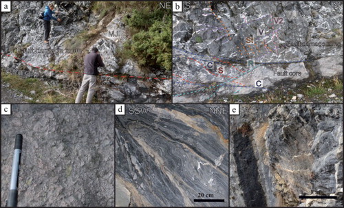 Figure 7. (a) The fault zone of the Rocca Barbone Thrust here developed at the base of the Middle Jurassic limestones (MJ) showing, (b), a stylolitic cleavage (St) developed into the fault damage zone, S-C fabric in the fault core and a widespread distribution of veined fractures (V and V2). (c) Detail of the cataclastic breccias from the fault core; (d) plastically folded Triassic limestones comprised within the fault core; (e) later, NW-dipping normal faults, cutting the thrust-related fault zone.