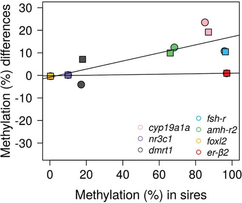 Figure 6. Relationship of methylation in the sires and in the offspring. Scatterplot of the mean methylation differences per gene calculated as levels in the sires minus levels in their corresponding offspring reared at low temperature (female offspring: circles; male offspring: squares). Methylation differences close to zero indicate stable methylation levels, whereas differences above and below zero indicate hypomethylation and hypermethylation, respectively, in offspring vs. parents. The regression lines correspond to genes with low methylation differences between sires and offspring (foxl2, nr3c1 and er-β2) and genes with higher methylation differences between sires and offspring (cyp19a1a, dmrt1, fsh-r and amh-r2).