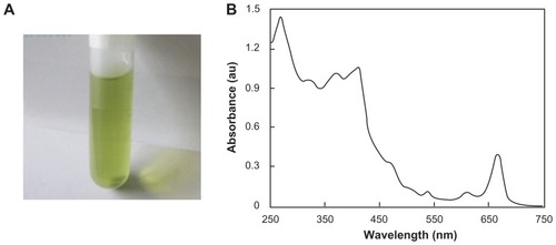 Figure 1 Chlorophyll dissolved in ethanol. (A) Bright field image taken using a digital color camera and (B) absorption spectrum.