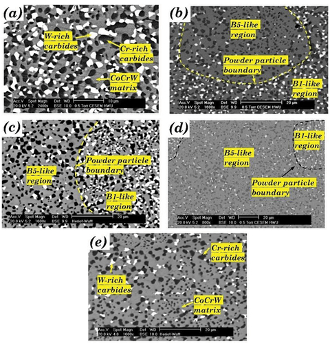 Figure 4. The microstructure of HIPed Stellite alloy (a) B1 (HS1); (b) B2; (c) B3; (d) B4; (e) B5 (HS12).