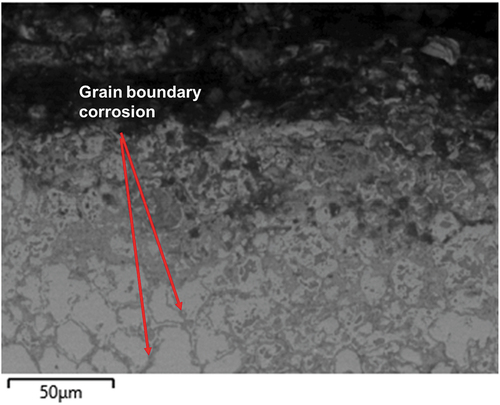 Figure 13. SEM micrograph of FeCrAl deposited through laser clad.