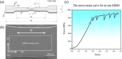 Figure 2. (a) Schematic diagram of the tensile specimen for in-situ EBSD analysis; (b) The macroscopic feature and the relationship between tensile direction and EBSD coordinates; (c) The stress-strain curve of the specimen for in-situ EBSD analysis.