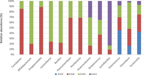 Figure 3. The relative abundance of the core genera in the fecal microbiome of pre- and post-weaned lambs.