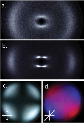 Figure 3. (Colour online) (a) 2D SWAXS pattern of the nematic phase of 17 at 115°C; (b) 2D SWAXS pattern of the nematic phase of 17 at 63°C; (c) conoscopic figure obtained for the nematic phase of compound 17 sandwiched between glass treated with trichlorooctadecylsilane to give homeotropic alignment; (d) insertion of a ¼ waveplate allows determination of the optic sign as positive.