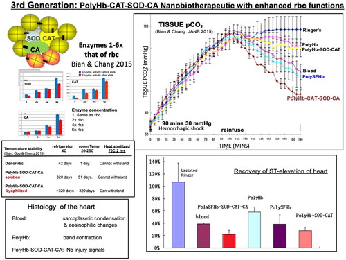 Figure 7. Left: PolyHb-CAT-SOD-CA with up to 6× enzyme enhancement also enzyme stability. Upper right: In a 90 min haemorrhagic shock animal model with 2/3 blood volume loss: it is superior to. PolyHb and whole blood in the lowering of elevated intracellular pCO2. Lower right: Recovery of ST elevation. Lower left: histology of the heart. (From Bian and Chang [Citation46] with written copyright permission to reproduce this figure from the publisher Taylor and Francis.)