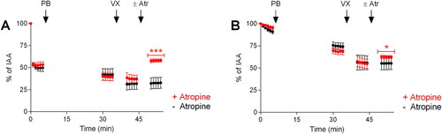Figure 8. Therapeutic efficacy of atropine (atr; 1 µM) following pretreatment with pyridostigmine bromide (PB; 10 µM) and exposure to VX (0.5 µM). A) Maximum airway contraction and B) maximum airway relaxation. PCLS were incubated with PB for 30 min prior to addition of VX and atropine was applied 10 min post-exposure to VX. The control, as airway responses achieved by only EFS, was monitored during the first 5 min of the experimental time. Data is expressed as percent of the initial airway area (IAA) and presented as the mean ± the SEM (n = 6). *p < 0.05 or ***p < 0.001 for atropine treatment versus PB and VX-exposure without treatment at time-point 50–55 min (one-way ANOVA).