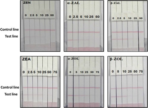 Figure 9. Result of ZEN, α-ZAL, β-ZAL, α-ZOL, β-ZOL, and ZEA in corn flour sample.