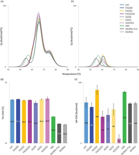 Figure 10. Differential scanning calorimetry analysis of glycoforms showed thermal stability of CH2 domain was increased by terminal galactosylation and decreased in partially deglycosylated acceptors, terminally mannosylated mAb-HM, core defucosylated and terminal sialylated glycoforms. (a) Thermograms of each glycoform. (b) Transition peak of CH2 domain obtained from non-two-state curve fitting. (c) Thermal transition temperature Tm of CH2 domain obtained from curve fitting. Tm CH2 was significantly reduced in partially deglycosylated acceptors and terminally mannosylated mAb-HM. (d) Denaturation enthalpy ΔH of CH2 domain obtained from curve fitting showed significantly increased denaturing enthalpy by terminal galactosylation and decreased by core defucosylation and terminal sialylation. Error bars were generated based on variance of curve fitting using Origin software (c-d).