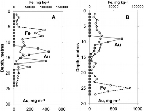 Figure 7 Sections down two drillholes in Ourawera Stream sediments (as indicated in Fig. 2B–C) showing Fe contents and gold contents of sampled medium and coarse sands.