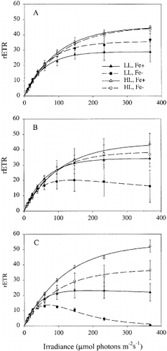 Fig. 2. Photosynthesis-irradiance response curves of Chaetoceros brevis, measured by PAM fluorometry 0 (A) 3 (B) and 5 (C) days after the start of the experiment. For abbreviations in key see Table 1.