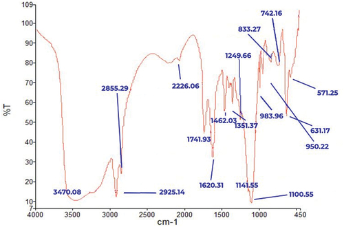 Figure 5. FT-IR spectrum of the synthesized Cu NPs.