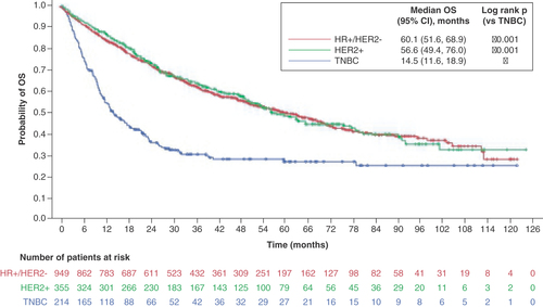 Figure 3. Kaplan–Meier analysis of overall survival: HR+/HER2- and HER2+ versus triple negative breast cancer in metastatic breast cancer patients diagnosed 2010+.HR: Hormone receptor; OS: Overall survival; TNBC: Triple negative breast cancer.