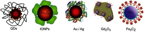 Figure 7 Nanoparticles surface modification with albumin. Copyright © 2016. John Wiley and Sons. Reproduced from Chen Q, Liu Z. Albumin carriers for cancer theranostics: a conventionalplatform with new promise. Adv Mater. 2016;28:10557–10566.Citation2